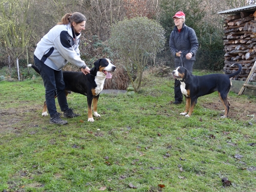 Das sind unsere Besten - Jack und Baileys