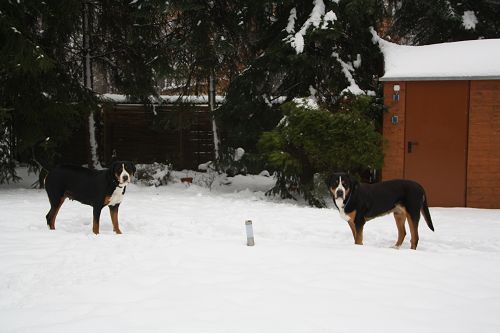 Das sind unsere Besten - Jack und Baileys